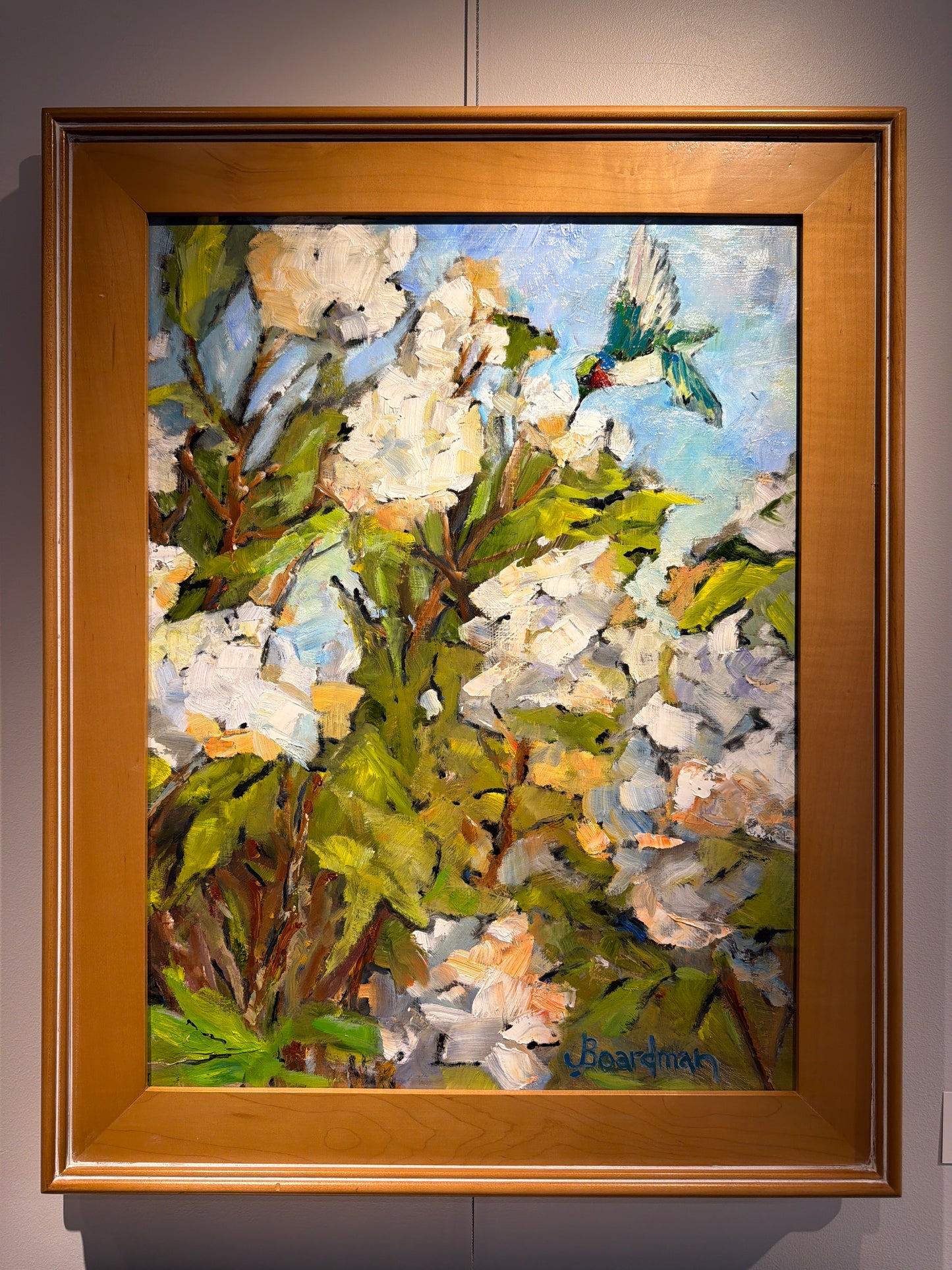 Hummingbird and Hydrangas