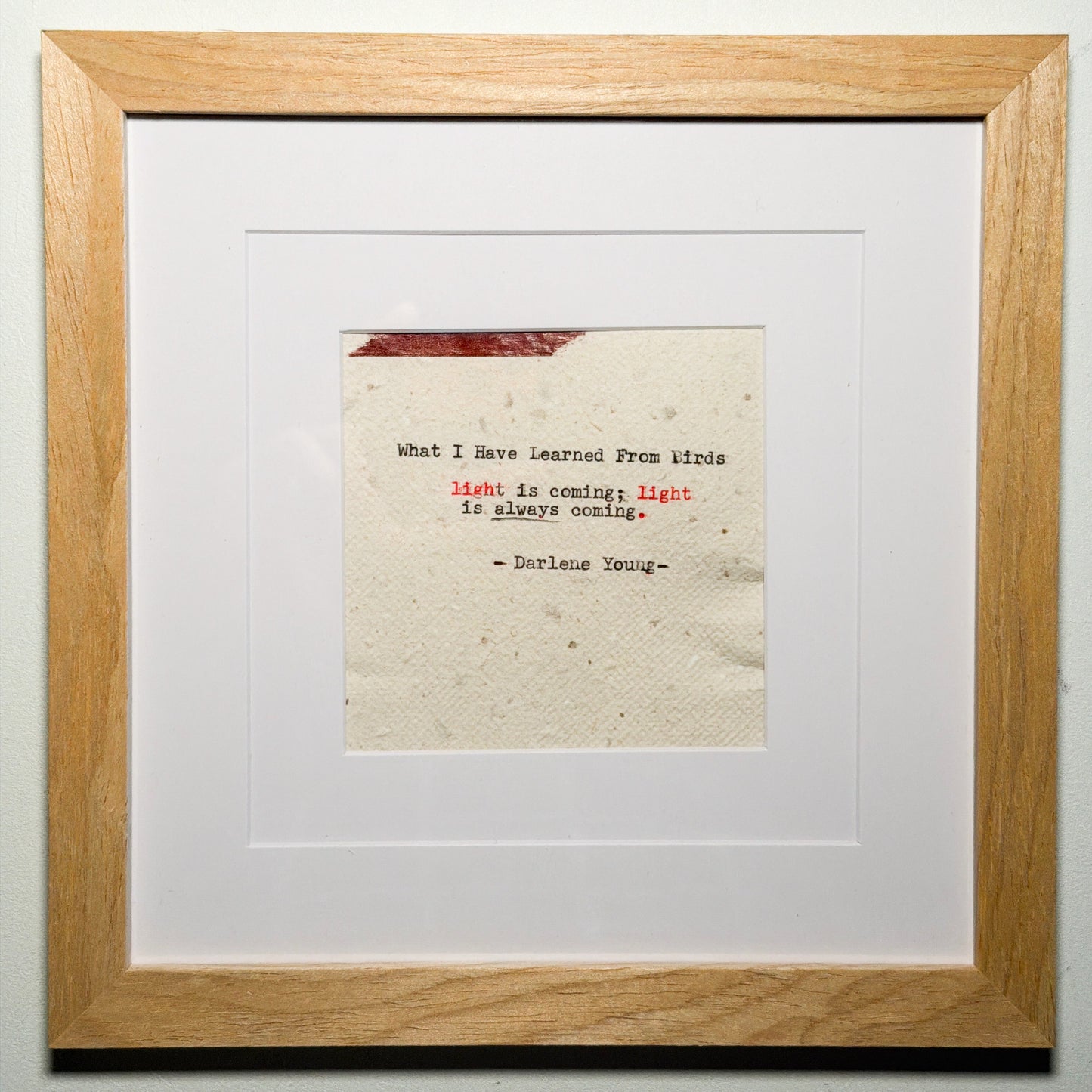 What I Have Learned From Birds