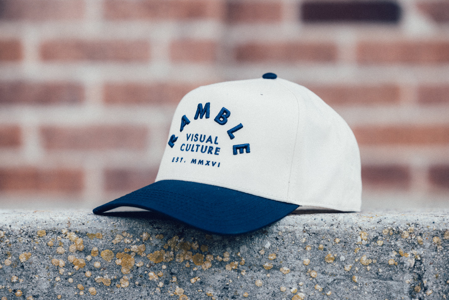 Visual Culture Lockup Hat - natural/navy