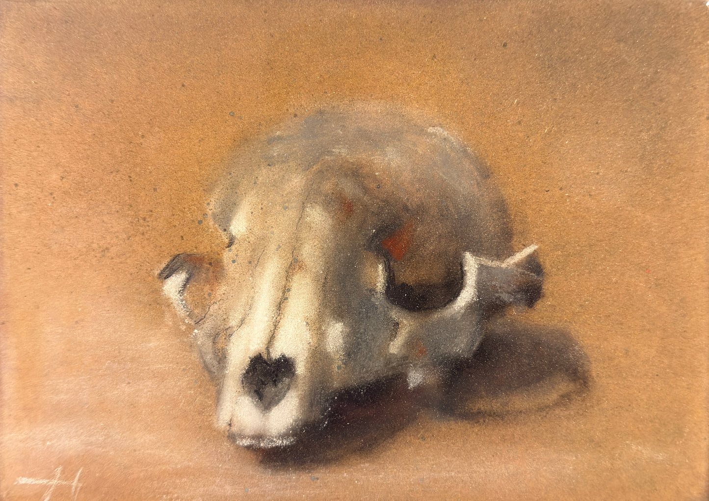 Skull Study