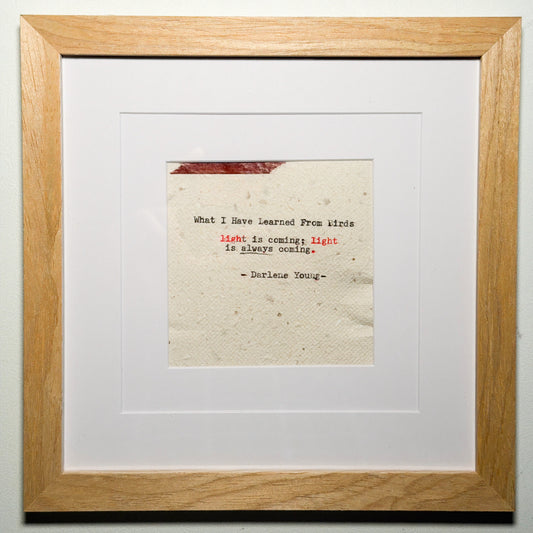 What I Have Learned From Birds