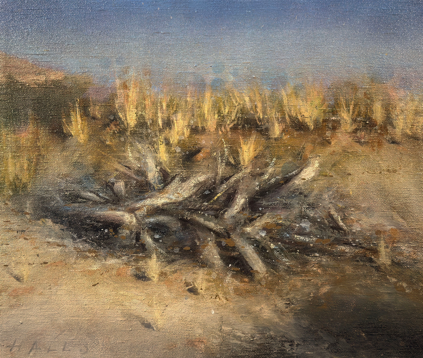 Dead Wood Trail