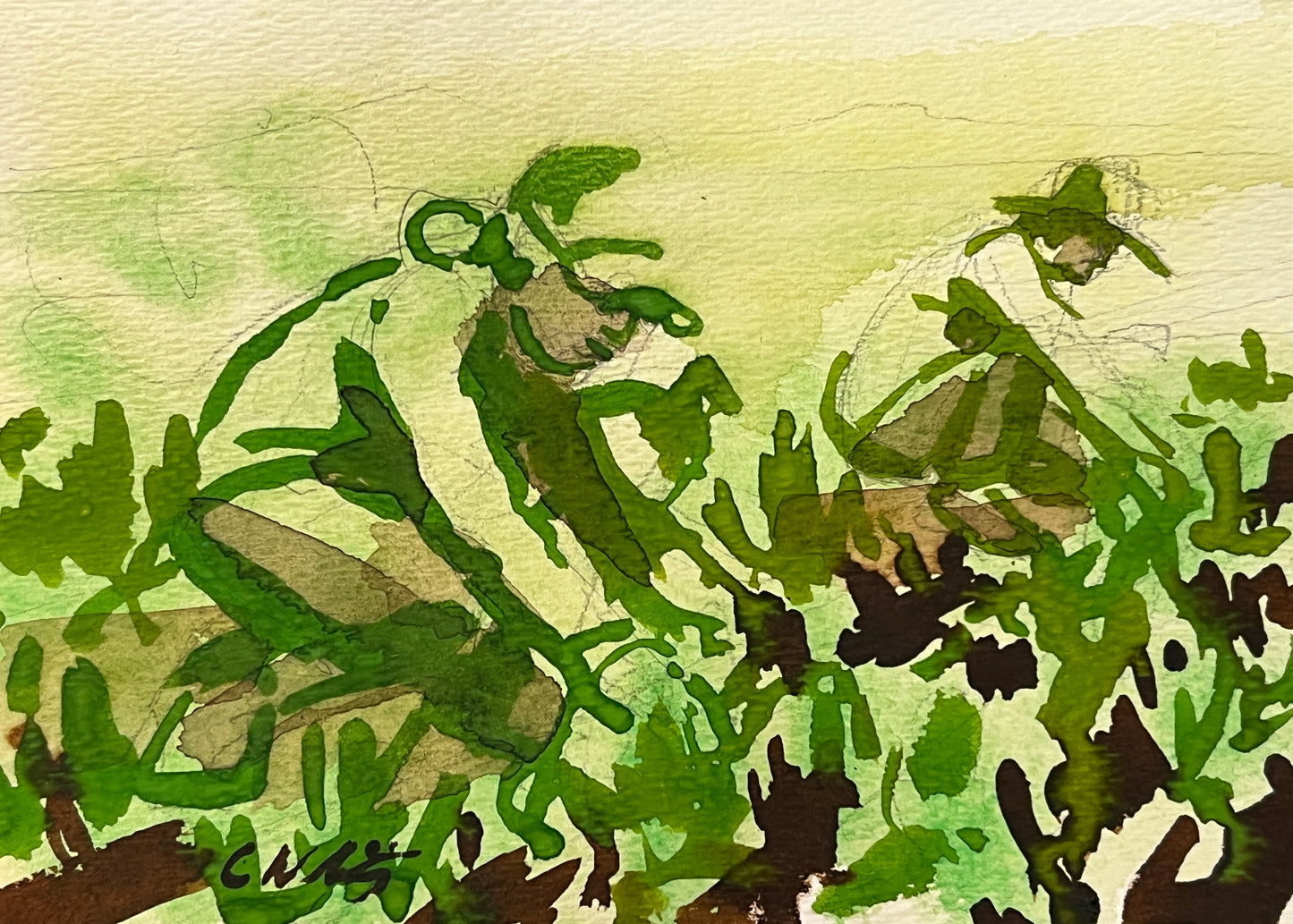 In the dirt