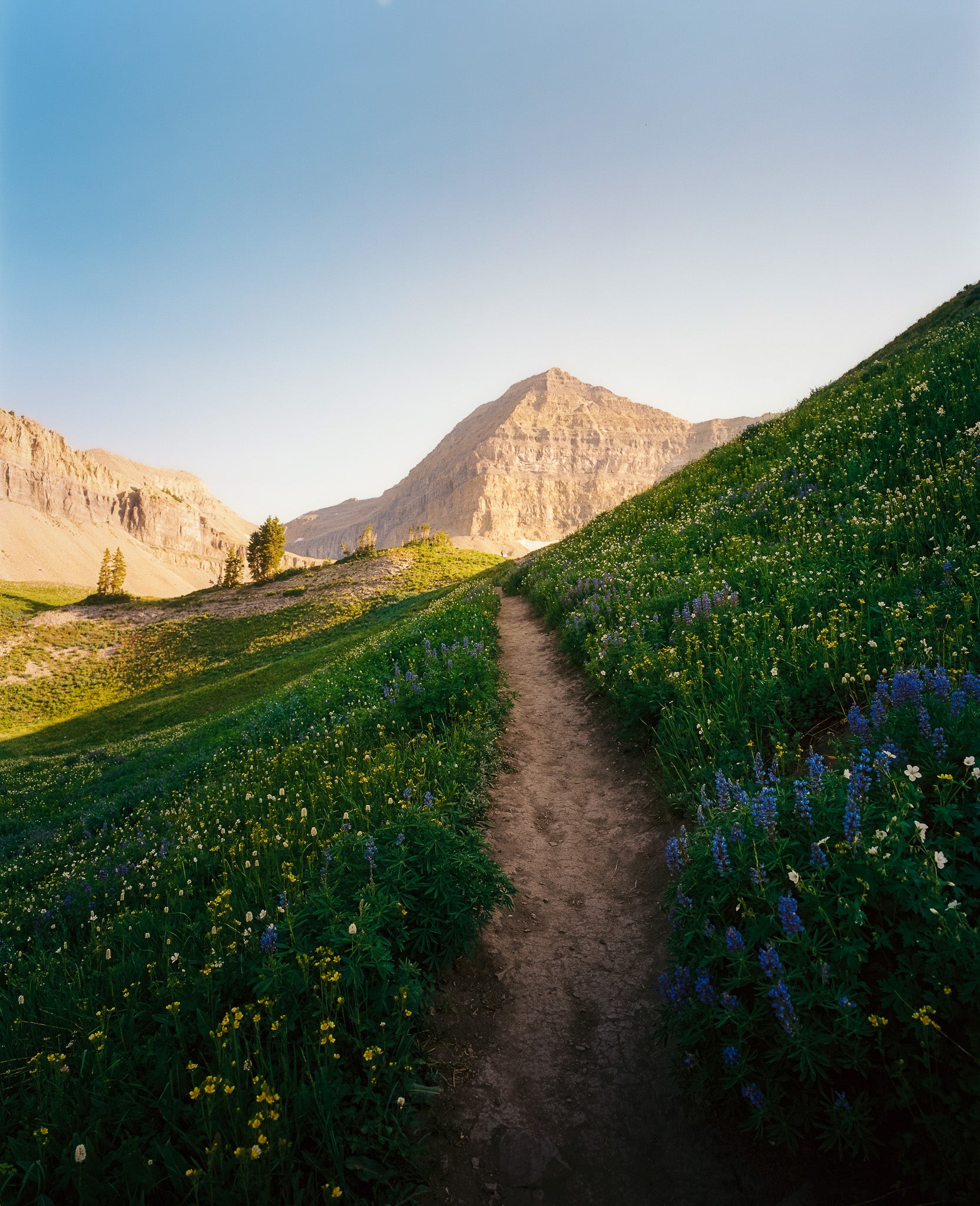 Mt. Timpanogos – Ramble Gallery