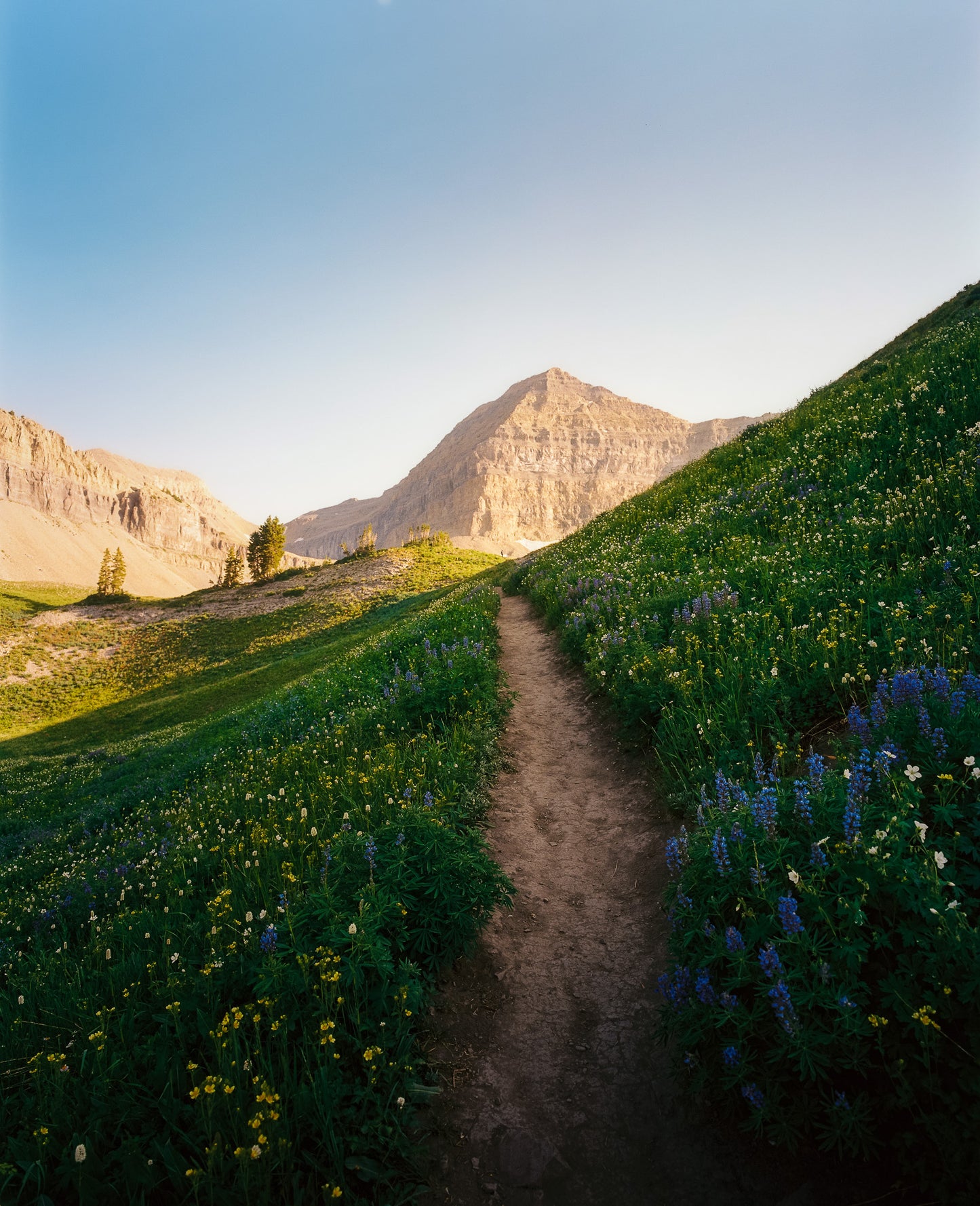 Mt. Timpanogos