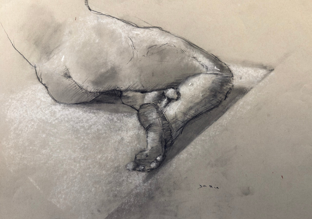 Sketch 13