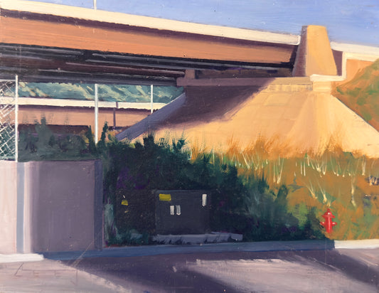 Station Park Shadow