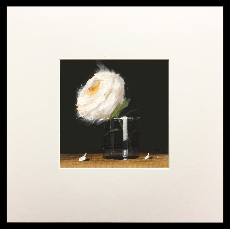 White Rose 8