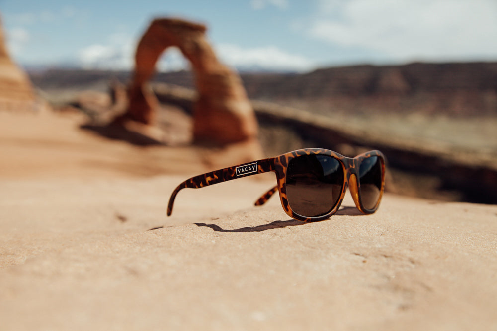 RAMBLE//VACAY SUNNIES : Polarized Brown Tortoise with Silver Inlay Logo