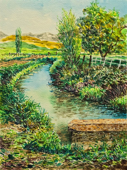 "Paradise Canal near Lee Bickmore's Farm"